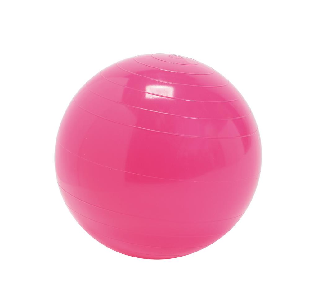 mout Lokken Kauwgom Gymnic - Gymnastiek-fysiobal 30 cm roze kopen? - Nenko