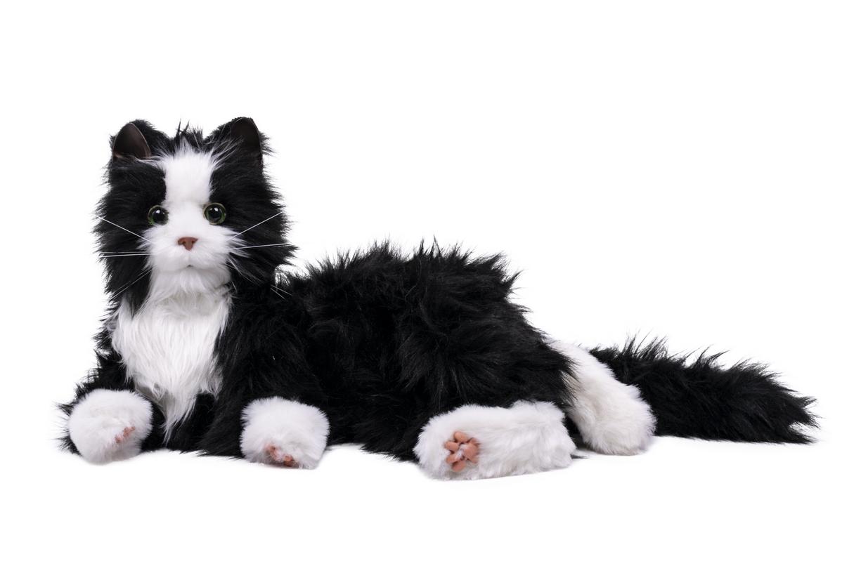 Neem een ​​bad uitroepen bovenstaand Interactieve kat - zwart kopen? - Nenko