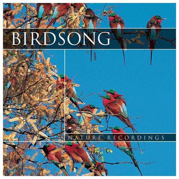 CD Birdsong