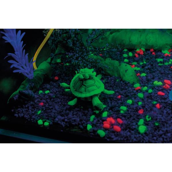 Doorkijk blacklight UV aquarium kopen? Nenko