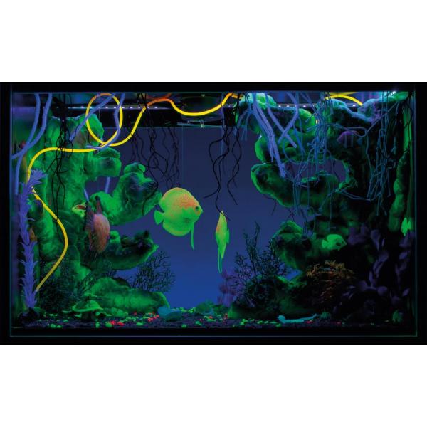 Doorkijk blacklight UV aquarium kopen? Nenko