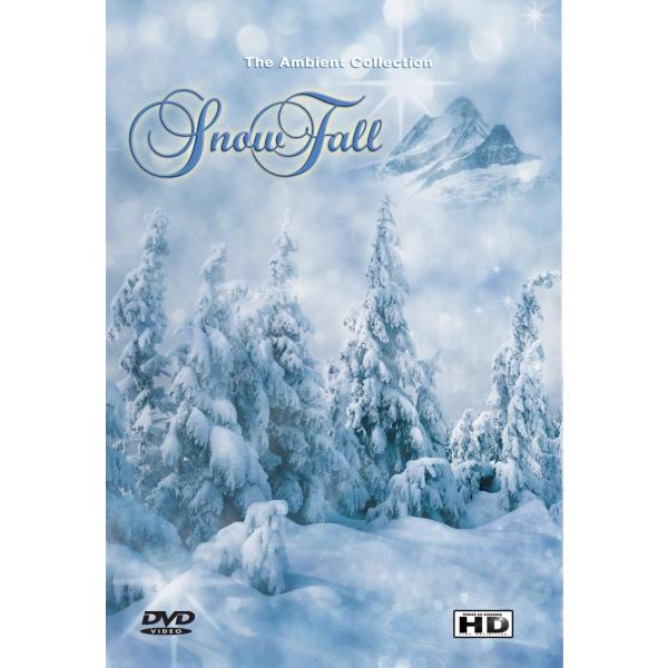 DVD - Sneeuwval