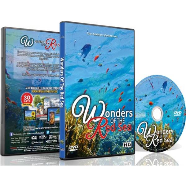 DVD Wonders of the Red Sea