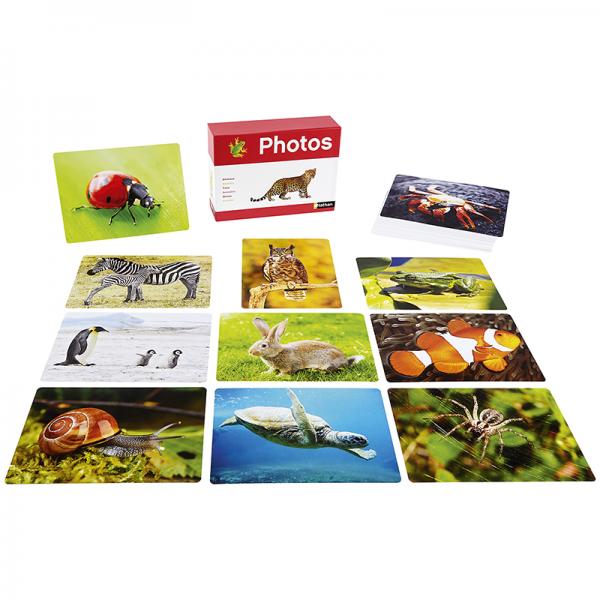 Fotokaarten - dieren