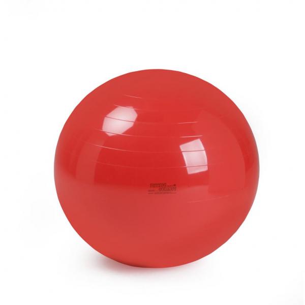 Gymnic - Gymnastiek-fysiobal 120 cm rood
