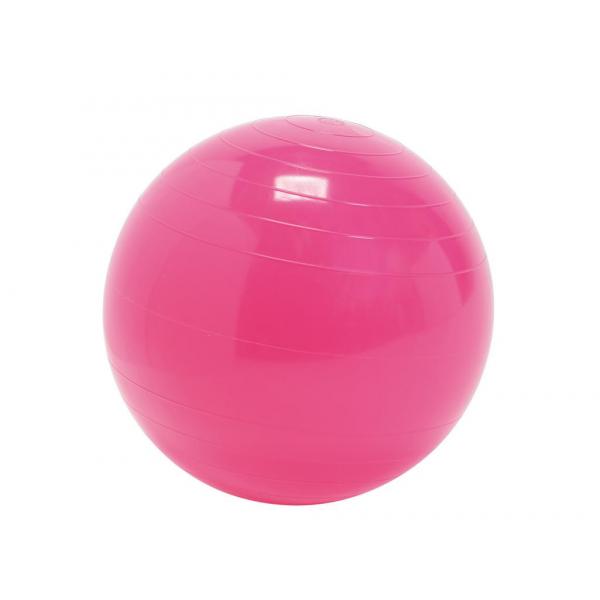 Gymnic - Gymnastiek-fysiobal 30 cm roze