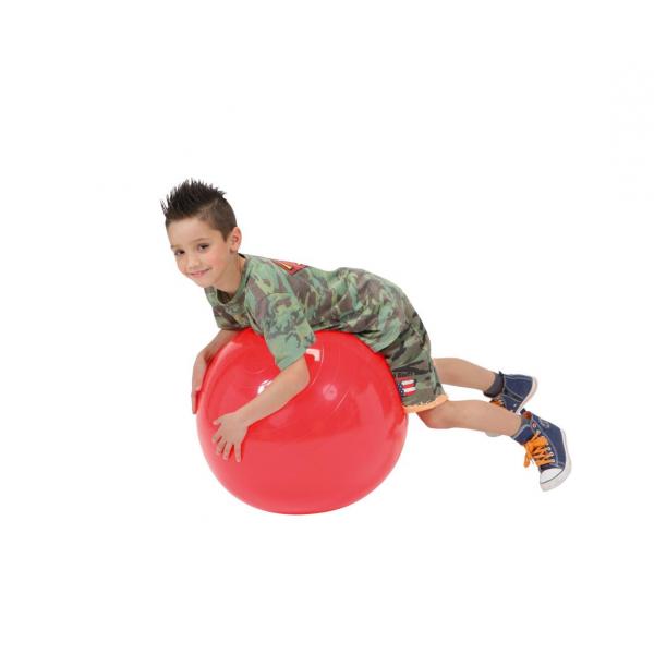 Gymnic - Gymnastiek-fysiobal 55 cm rood