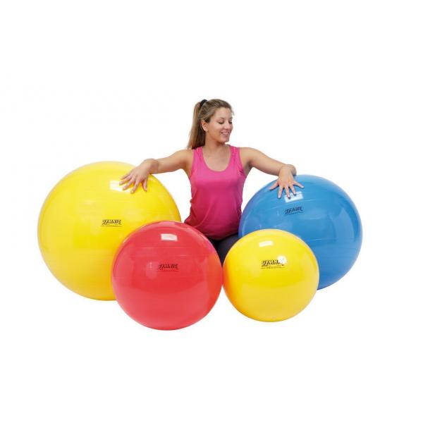 Gymnic - Gymnastiek-fysiobal 65 cm blauw