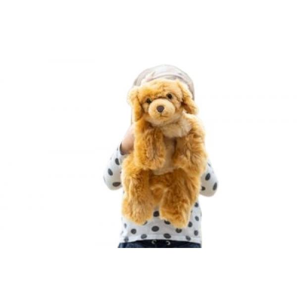 Joyk - Brando de hond