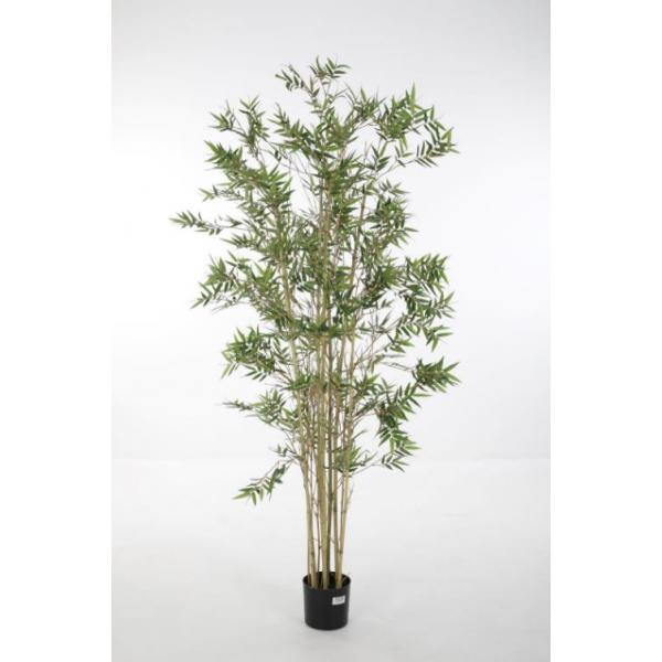 Kunstplant Japonica - 180 cm