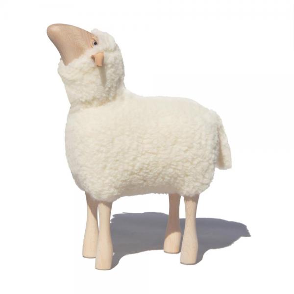 Lammetje met wol (kortgeschoren) omhoogkijkend 50 cm - wit