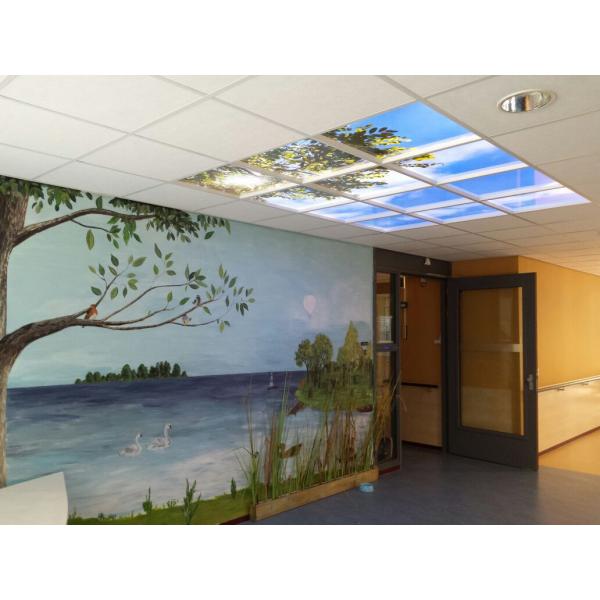 LED plafondpaneel 120 x120 cm