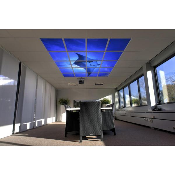 LED plafondpanelen 60 x 60 cm - set van 4