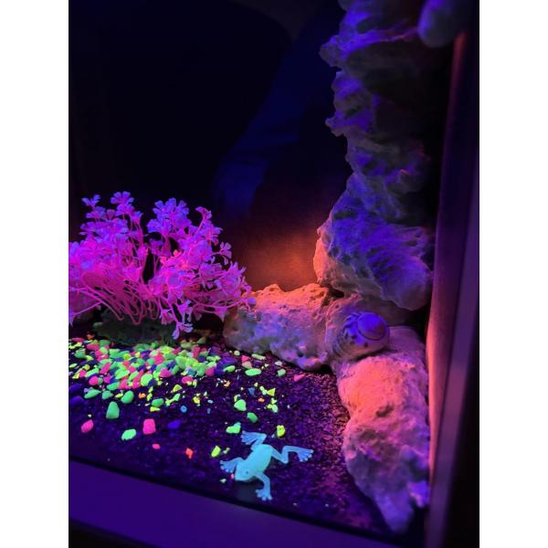 Nenko blacklight UV aquarium