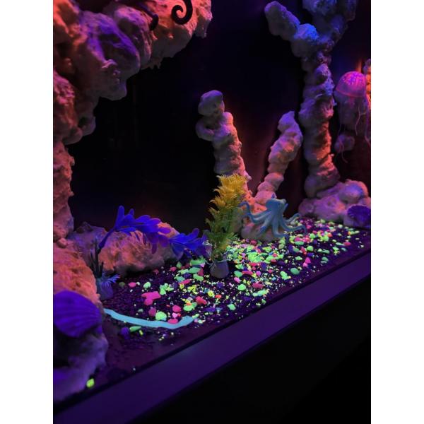 Nenko blacklight UV aquarium
