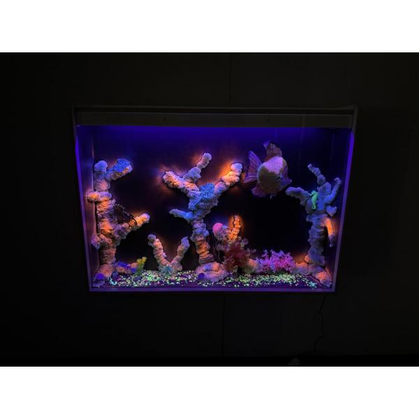 Nenko blacklight UV aquarium
