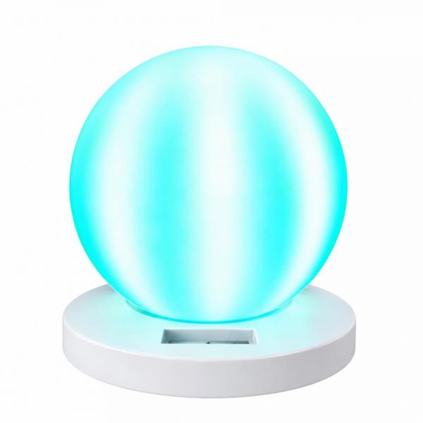 Orgelbol