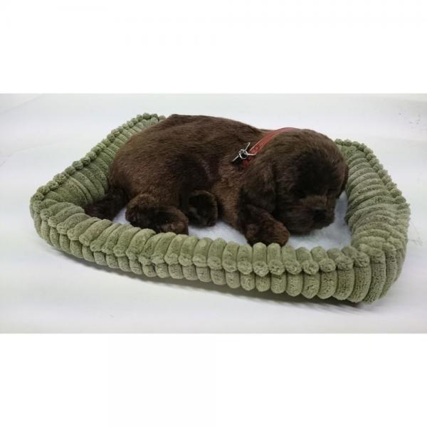 Perfect Petzzz - Labrador puppy