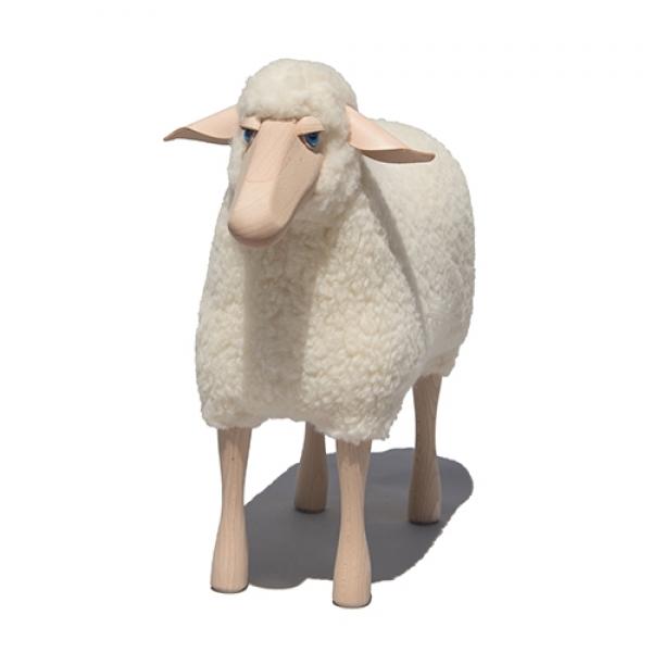 Schaap met wol (kortgeschoren) 60 cm - wit