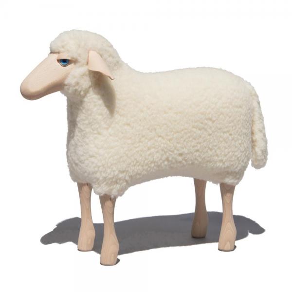 Schaap met wol (kortgeschoren) 60 cm - wit