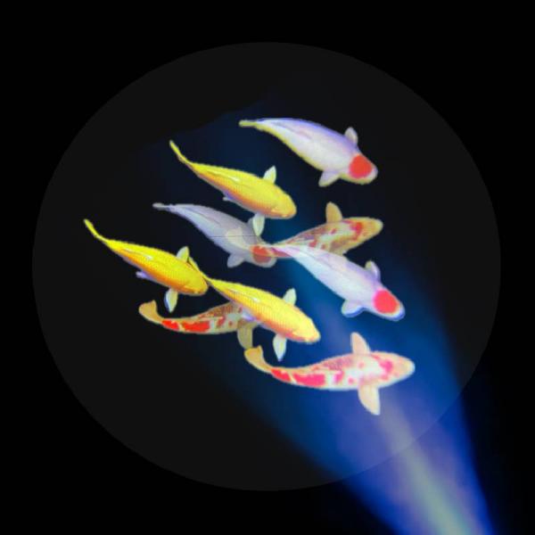 Sensory Vista Pro projector