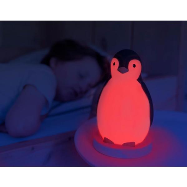Slaaptrainer - Pam de pinguïn