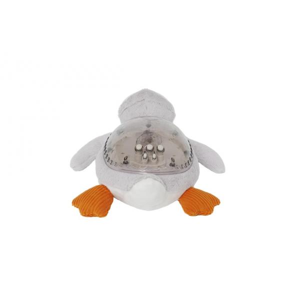 Tranquil pinguïn