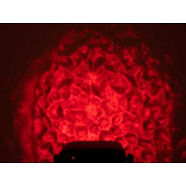 Watereffect projector