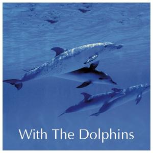 CD With the Dolphins