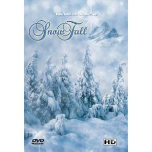 DVD - Sneeuwval