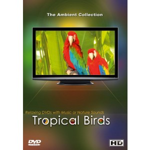 DVD - Tropical Birds