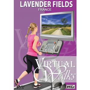 DVD Virtuele wandelingen - Lavendelvelden