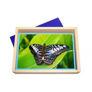 Fotopuzzel vlinders