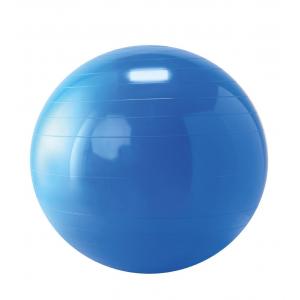 Gymnic - Gymnastiek-fysiobal 65 cm blauw