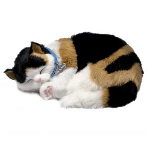Perfect Petzzz - Lapjeskat