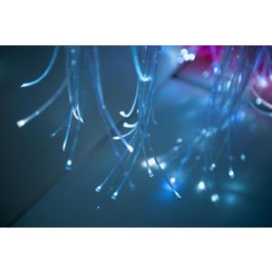 Plastic vezelnevelstreng 100 strengen x 100 cm