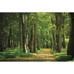 Spirit Pro geurcartridge voor witte Spirit Pro - Provence