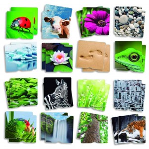 Texturen memory - natuur