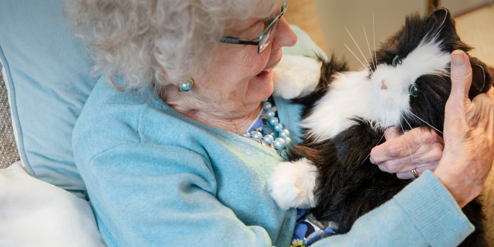 Affectiedieren