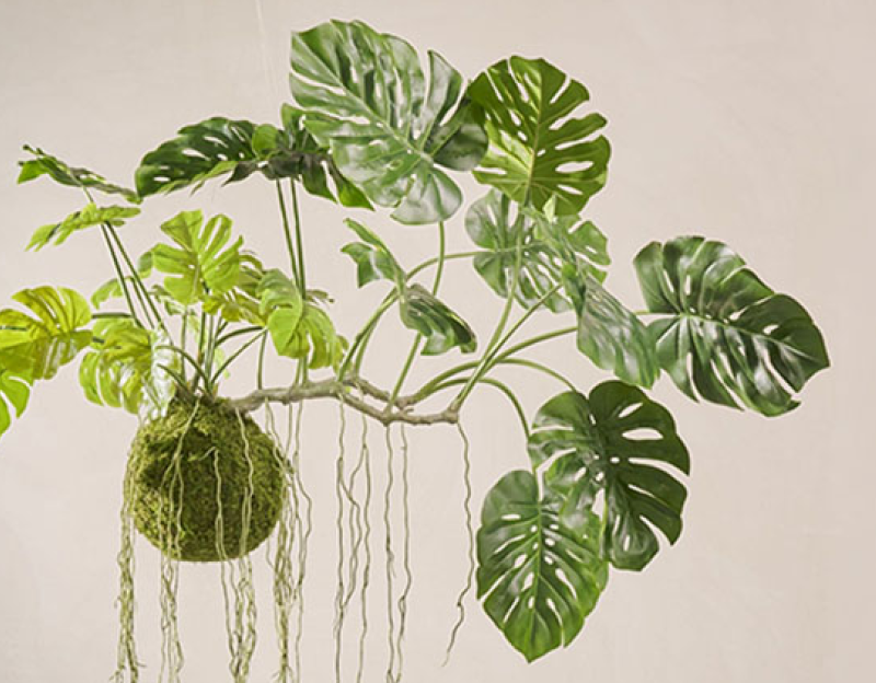 onderhoudsvrij groen in de zorg